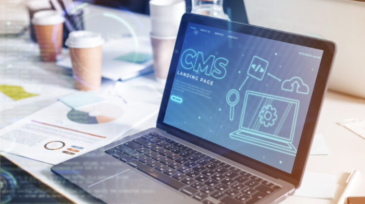 What is a CMS? A Beginner’s Guide"